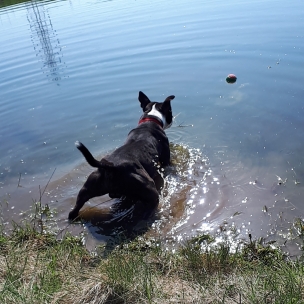 Swimming....
